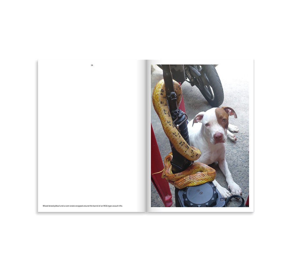 FAVELA NARCO PETS 3 – 550BC