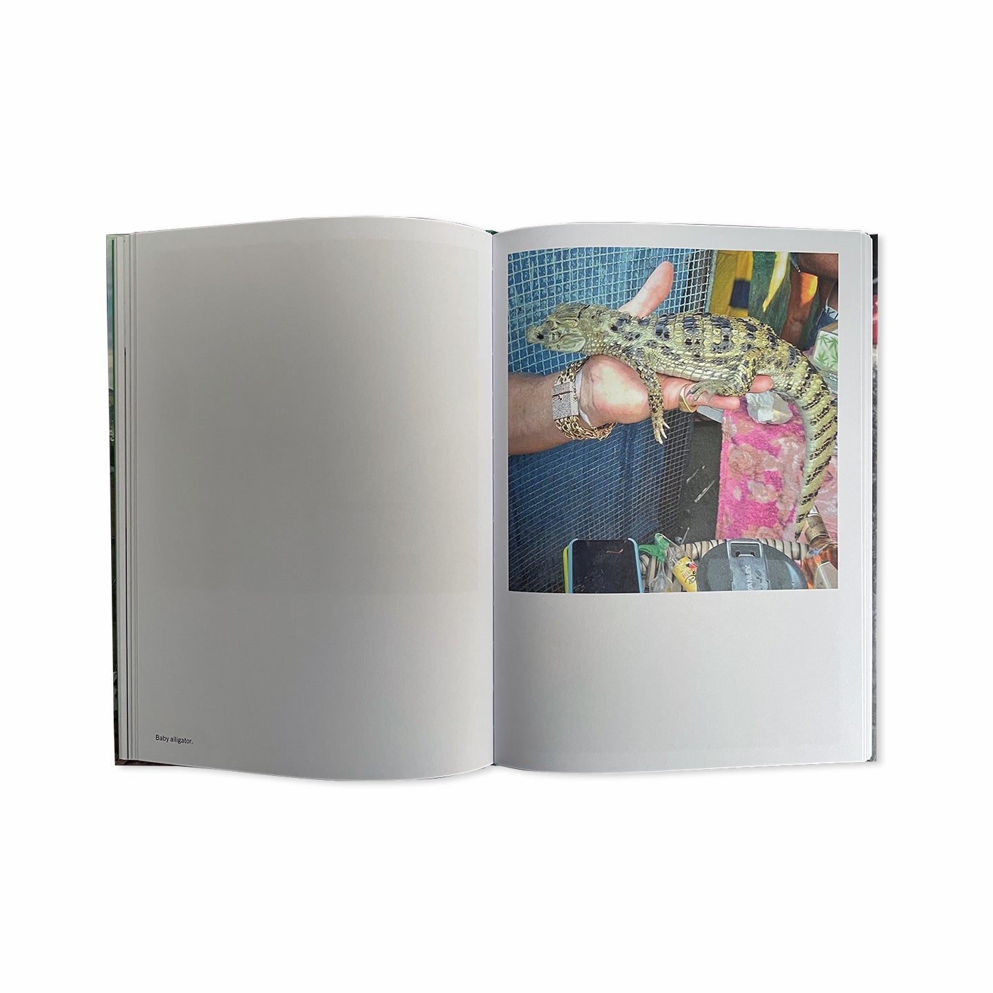 FAVELA NARCO PETS – 550BC