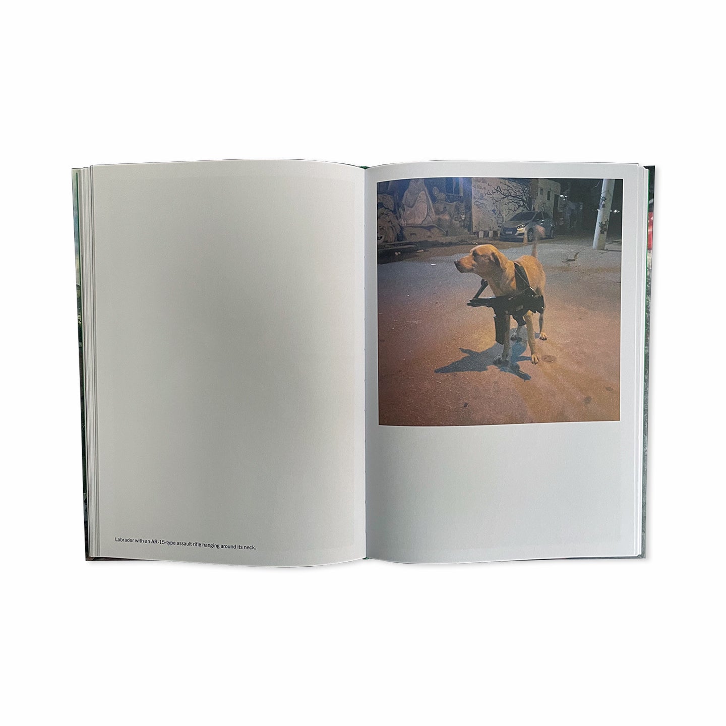 favela narco pets 3 洋書 写真集 ドキュメンタリー FAVELA NARCO PETS